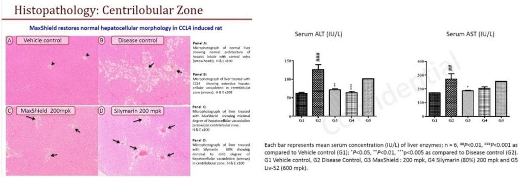 งานวิจัย สารสกัดบำรุงตับ Liver Maxshield