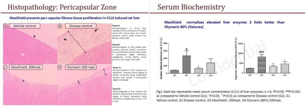 งานวิจัย สารสกัดบำรุงตับ Liver Maxshield