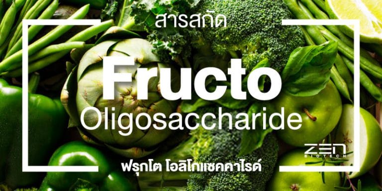 สารสกัด ฟรุคโต โอลิโกแซคคาไรด์ : FOS