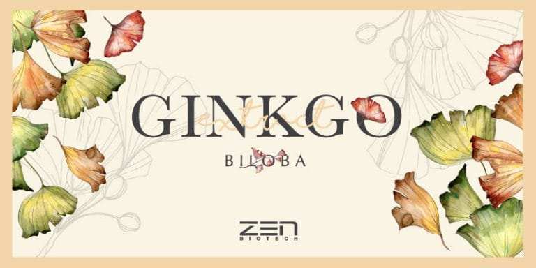 สารสกัดใบแป๊ะก๊วย Ginkgo Biloba Extract
