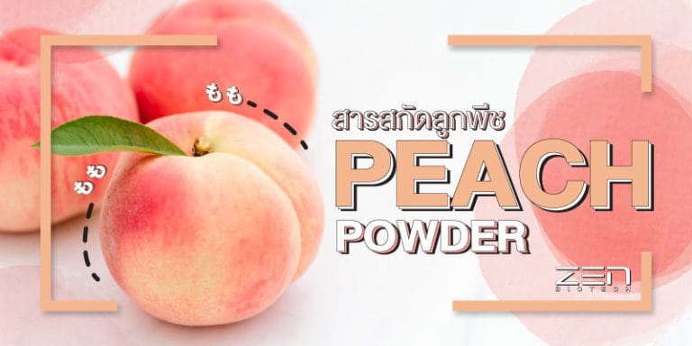 สารสกัดพีช Peach Powder