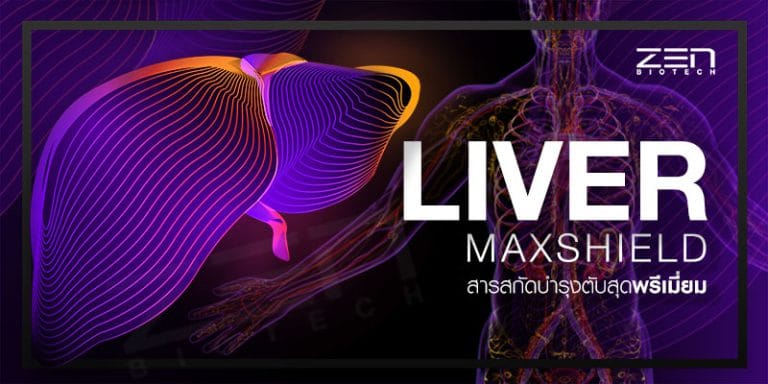 สารสกัด Liver Maxshield