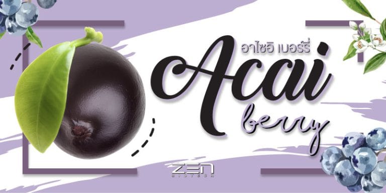 สารสกัดจากอาไซอิ เบอร์รี่ (Acai Berry)
