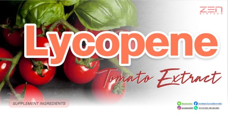 สารสกัดจากไลโคปีน (Lycopene)