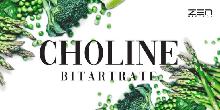 สารสกัดโคลีน Choline bitartrate