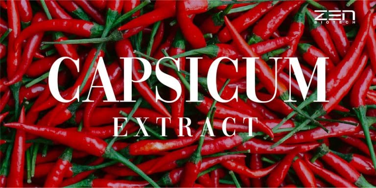 สารสกัดจากพริก Capsicum Extract