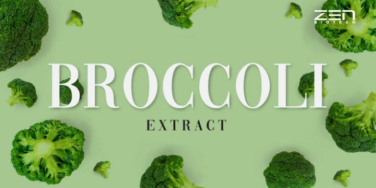 สารสกัดบร็อคโคลี่ Broccoli Extract