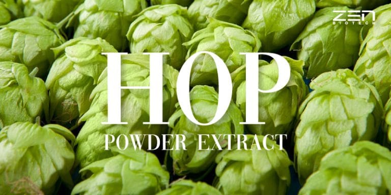 สารสกัดจากฮอปส์ เข้มข้น Hop Powder Extract