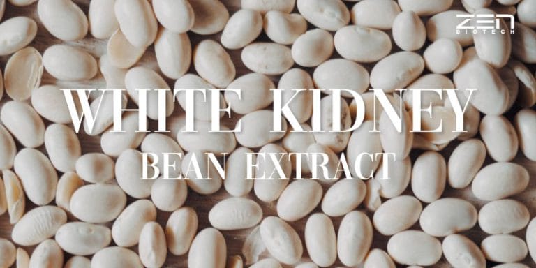 สารสกัดจากถั่วขาว White Kidney Bean extract
