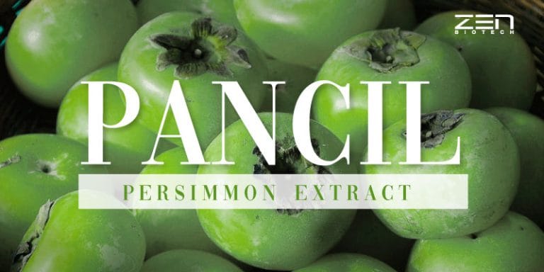 สารสกัดจากลูกพลับญี่ปุ่น Pancil Persimmon Extract