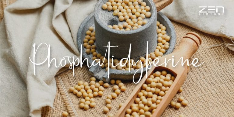 สารสกัดฟอสโฟไลปิดเข้มข้น จาก ถั่วเหลือง Phosphatidylserine