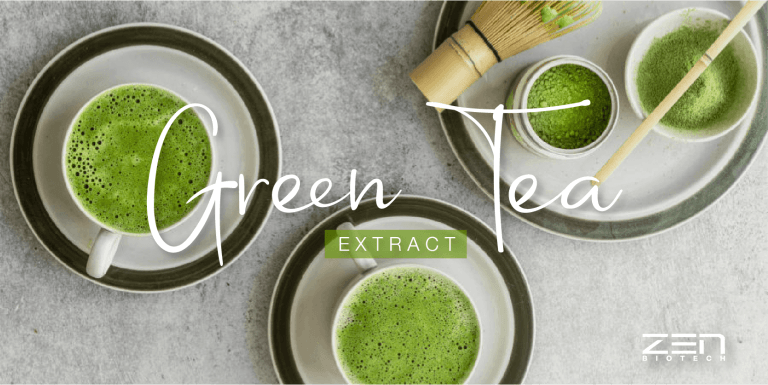 สารสกัดจากชาเขียว Green tea extract