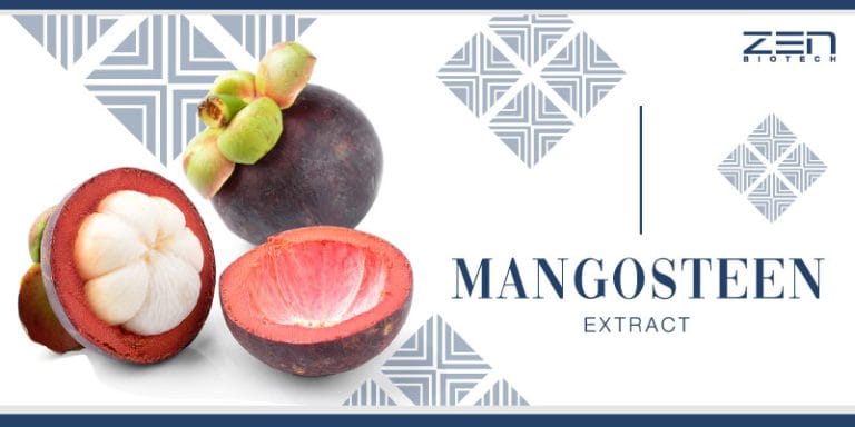 สารสกัดจากมังคุด Mangosteen Extract