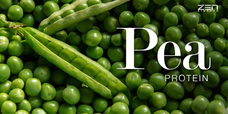 สารสกัดจากถั่วลันเตา European Pisum Sativum