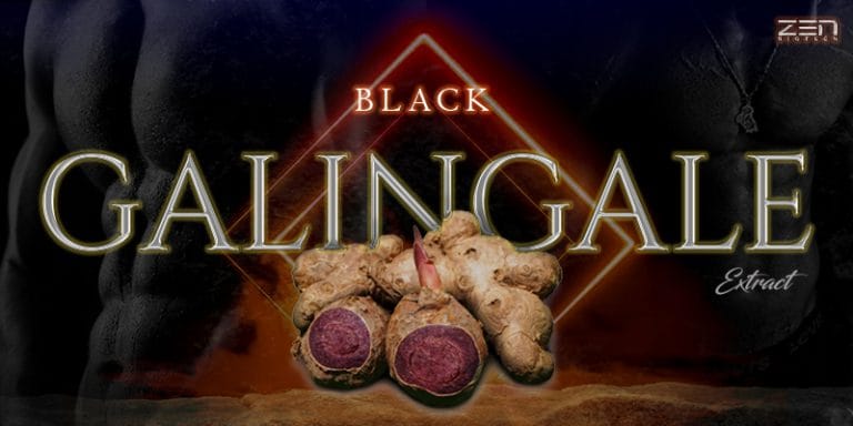 สารสกัดจากกระชายดำ Black Galingale Extract