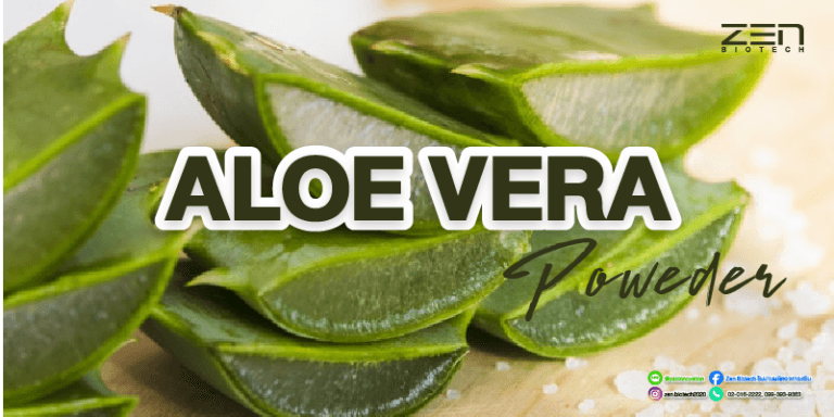 สารสกัดจาก Aloe vera powderAloe vera extract powder for supplyment