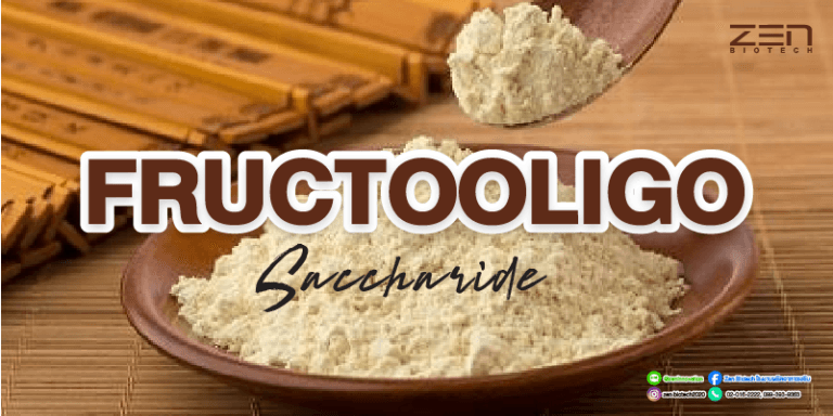 สารสกัดจาก Fructooligosaccharide 95%Fructooligosaccharide Extract 95%