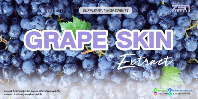สารสกัดจาก Grape Resveratrol ExtractGrape Resveratrol extract for supplyment and cosmetic