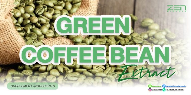 สารสกัดจากผลเมล็ดกาแฟสีเขียว Green Coffee Bean ExtractGreen Coffee Bean Extract