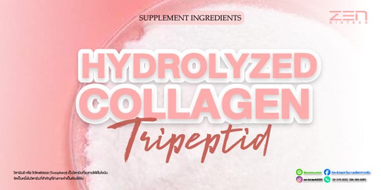 สารสกัดจาก Hydrolyzed collgen TripeptidHydrolyzed collgen Extract Tripeptid for supplyment
