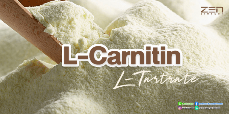 สารสกัดจาก L-Carnitine L-TartrateL-Carnitine L-Tartrate Extract for supplyment