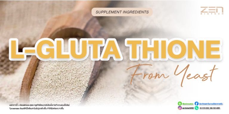 สารสกัดจาก L-GlutathioneL-Glutathione Extract for supplyment