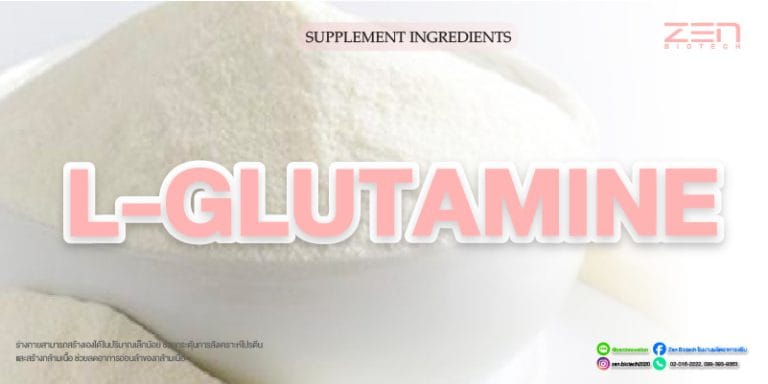 สารสกัดจาก L-GlutamineL-Glutamine Extract for supplyment and cosmetic