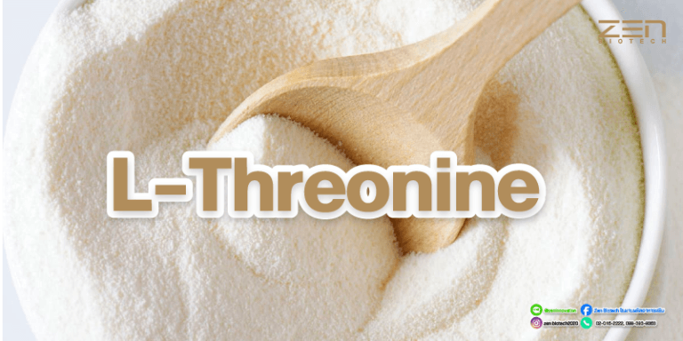 สารสกัดจาก L-ThreonineL-Threonine extract for supplyment