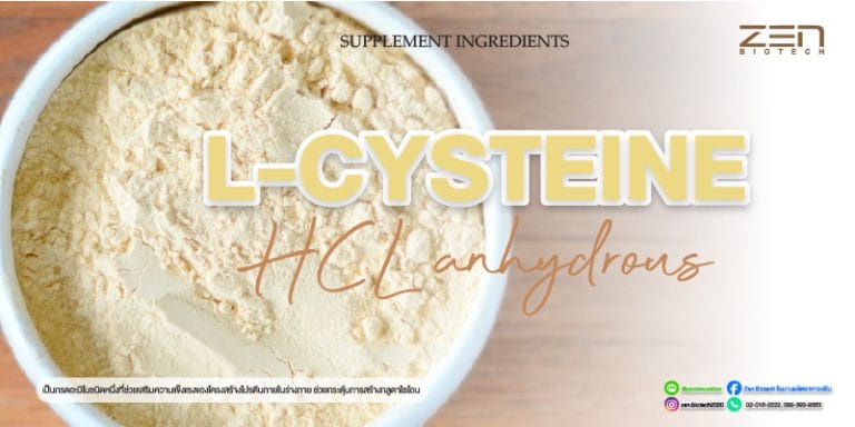สารสกัดจาก L-CysteineL-Cysteine Extract for supplyment and cosmetic
