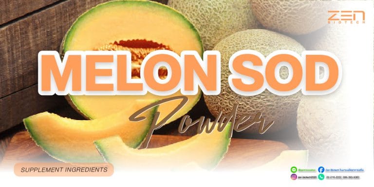 สารสกัดจากเมล่อน Melon SODMelon SOD Extract