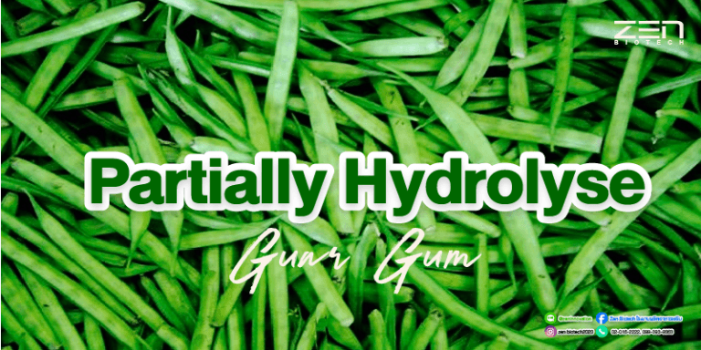 สารสกัดจาก Partially Hydrolysed Guar GumPartially Hydrolysed Guar Gum extract for supplyment