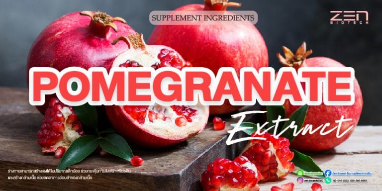 สารสกัดจาก Pomegranate ExtractPomegranate Extract for supplyment
