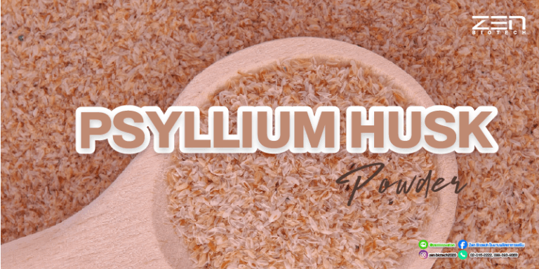 สารสกัดเทียนเกล็ดหอย (Psyllium Husk) สุดยอดธัญพืชดีท็อกซ์ ขจัดสารพิษ