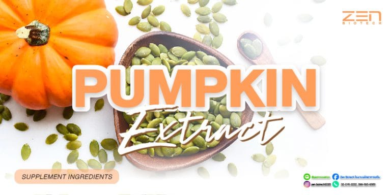 สารสกัดจากเมล็ดฟักทอง Pumpkin seed extractPumpkin seed extract