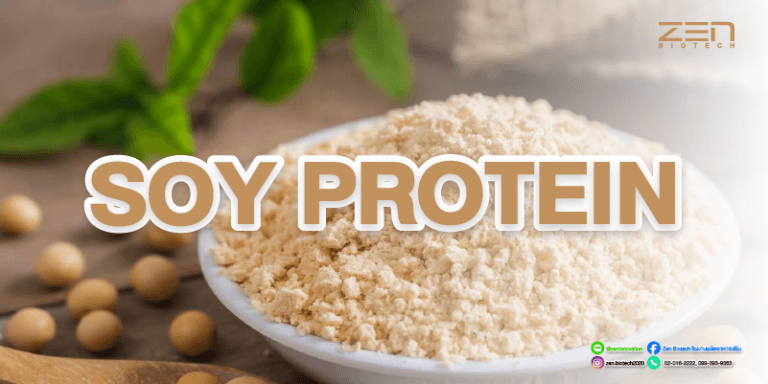 สารสกัดจากถั่วเหลือง Soy ProteinSoy Protein Extract for supplyment