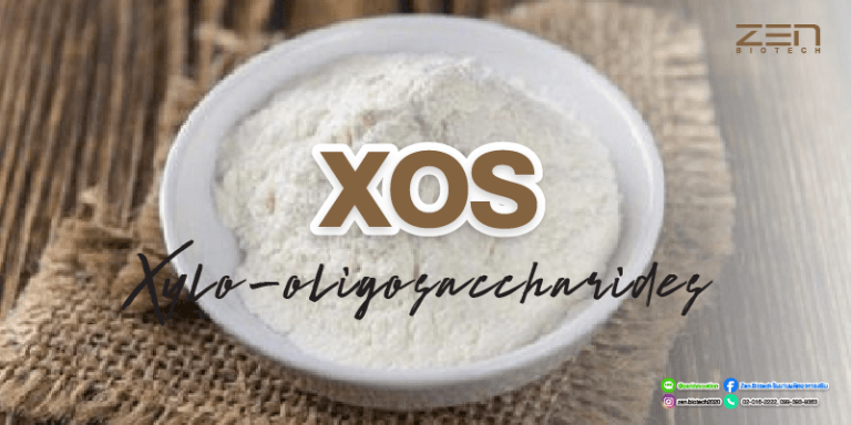 สารสกัดจาก Xylo-oligosaccharides (XOS)Xylo-oligosaccharides (XOS) Extract for supplyment