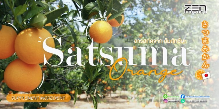 สารสกัดจากส้มซัทสึมะ SATSUMA แก้ไขปัญหาอย่างล้ำลึก !!