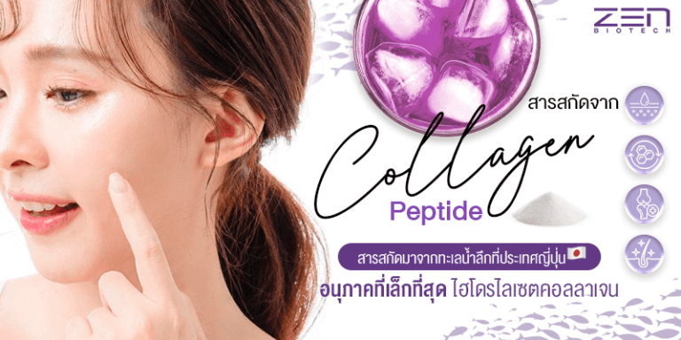 สารสกัดจาก Collagen Peptide