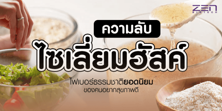 ความลับ ไซเลี่ยมฮัสค์ ไฟเบอร์ธรรมชาติยอดนิยมของคนอยากสุขภาพดี