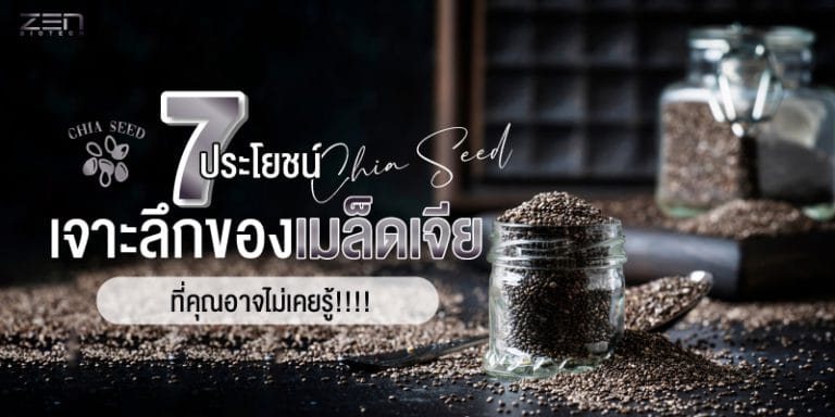 7 ประโยชน์เจาะลึกของเมล็ดเจีย ที่คุณอาจไม่เคยรู้!