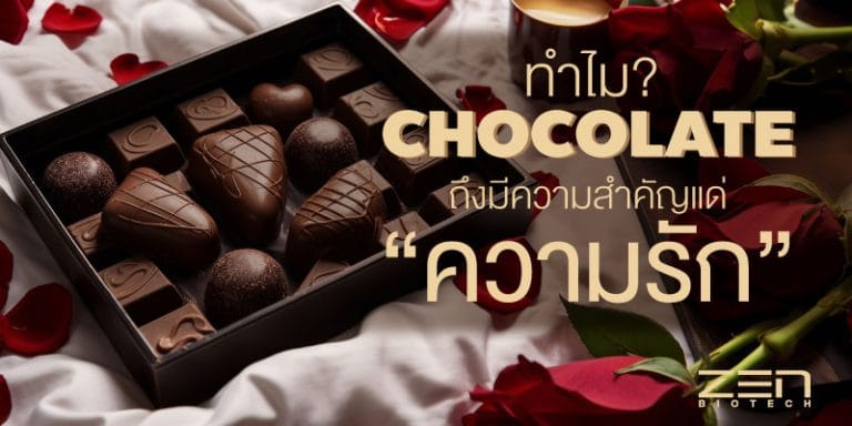 ทำไมช็อกโกแลตถึงมีความสำคัญแด่ความรัก