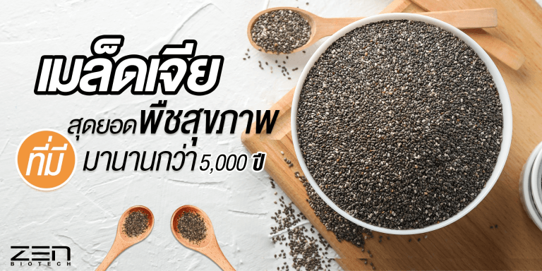 รู้จักเมล็ดเจีย สุดยอดพืชสุขภาพ ที่มีมานานกว่า 5,000 ปี