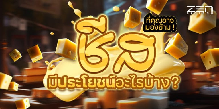 อาหารเสริมชาชีสมีประโยชน์อะไรบ้าง ? ที่คุณอาจมองข้าม !