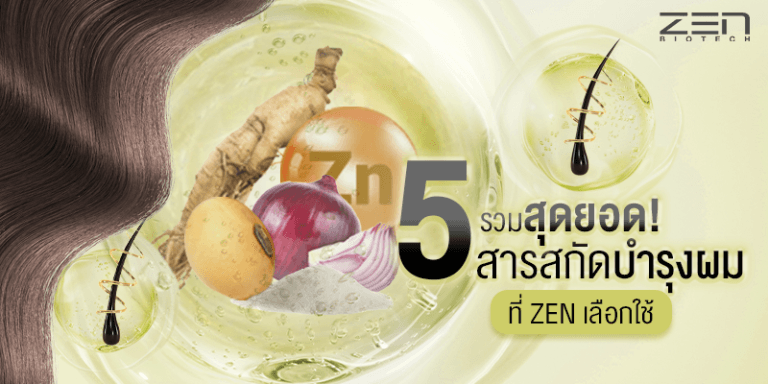 รวมสุดยอด 5 สารสกัดบำรุงผม ที่ ZEN เลือกใช้
