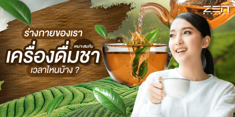 ร่างกายของเราเหมาะสมกับเครื่องดื่มชาเวลาไหนบ้าง ?