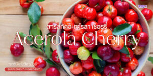 Acelora cherry