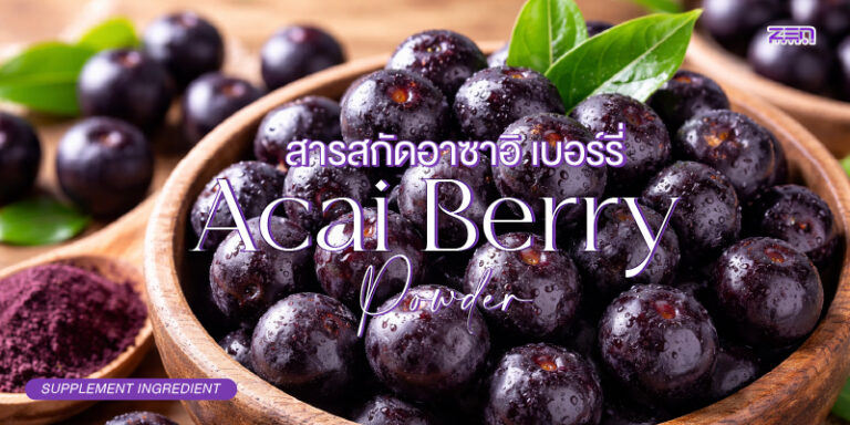 สารสกัดอาซาอิ (Acai Berry Extract) คือผลไม้ซูเปอร์ฟู้ดจากอเมซอน