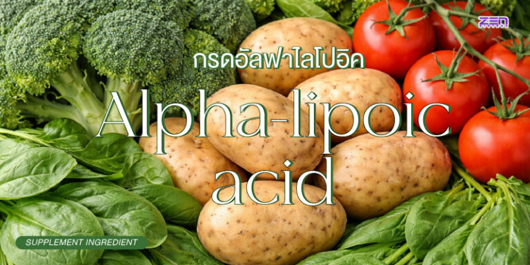 กรดอัลฟาไลโปอิค (Alpha Lipoic Acid ) “Universal Antioxidant” ตัวช่วยดูแลความโทรมแบบรอบด้าน