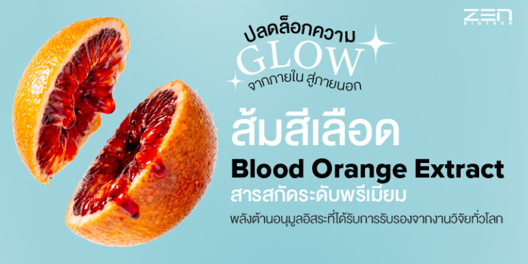 สารสกัดส้มสีเลือด (Blood Orange Extract) นวัตกรรมผิวสู้แดด | โรงงานรับผลิตอาหารเสริม ZEN BIOTECH