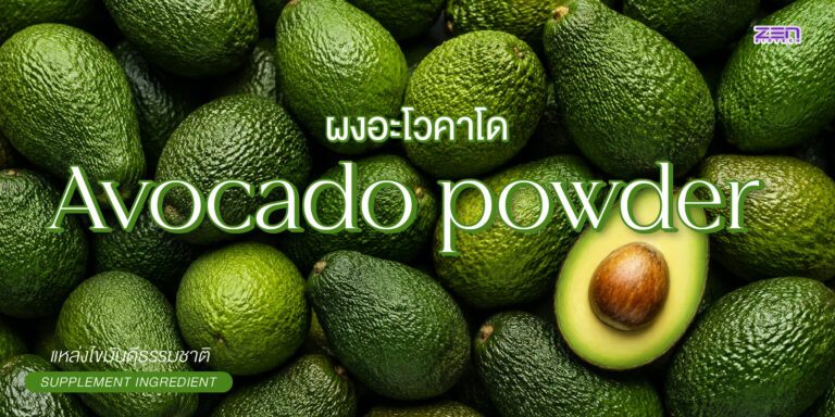 Avocado Powder (ผงอะโวคาโด) แหล่งไขมันดีและใยอาหารจากธรรมชาติ